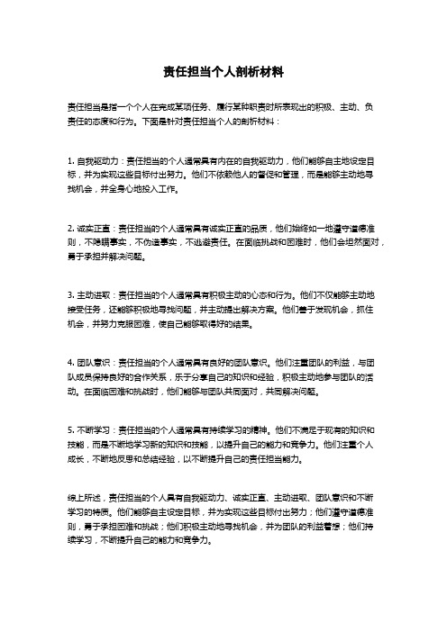 责任担当个人剖析材料