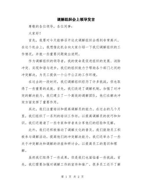 调解组织会上领导发言