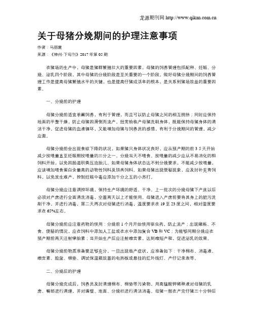 关于母猪分娩期间的护理注意事项