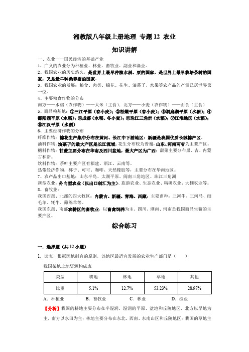 湘教版地理八年级上册期末高分突破 专题12 农业(解析版)