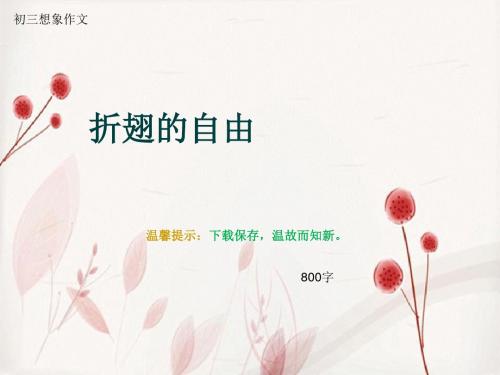 初三想象作文《折翅的自由》800字(总11页PPT)