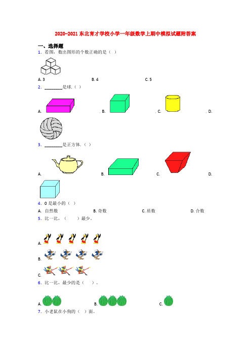 2020-2021东北育才学校小学一年级数学上期中模拟试题附答案