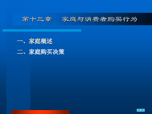 第十三章__家庭与消费者决策