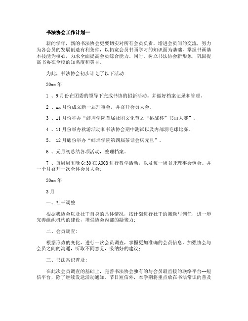 书法协会工作计划