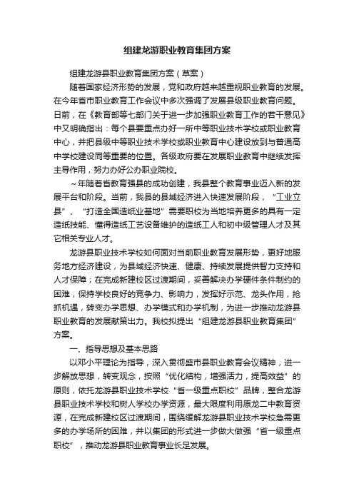 组建龙游职业教育集团方案