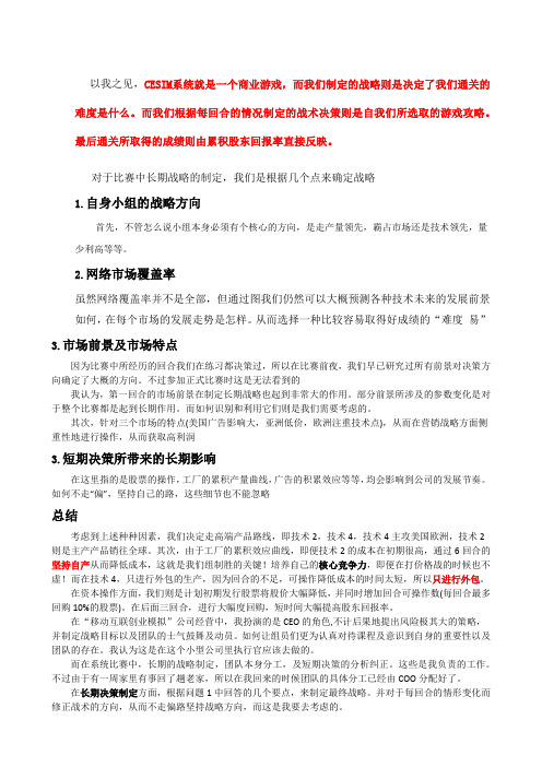 cesim总结报告总结归纳