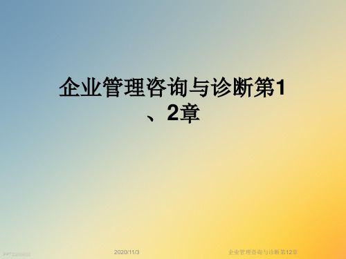 企业管理咨询与诊断第12章