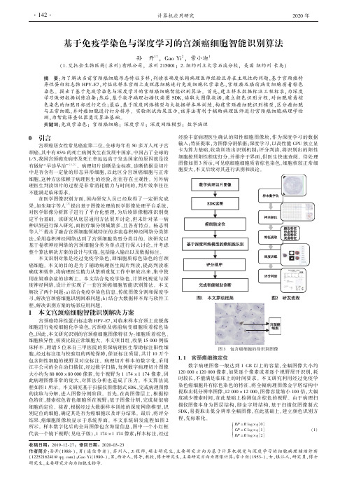 基于免疫学染色与深度学习的宫颈癌细胞智能识别算法