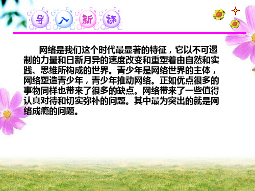 中学生对网瘾现象研究性学习