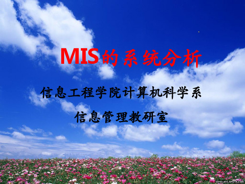 《MIS的系统分析》PPT课件