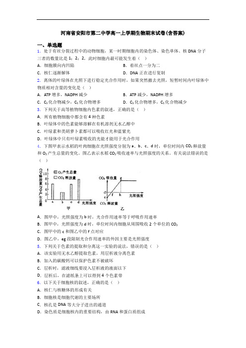 河南省安阳市第二中学高一上学期生物期末试卷(含答案)