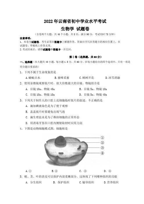 2022年云南省中考生物真题(含答案)