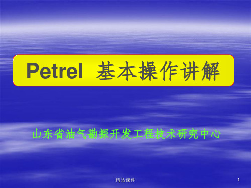 petrel软件详细教程ppt课件