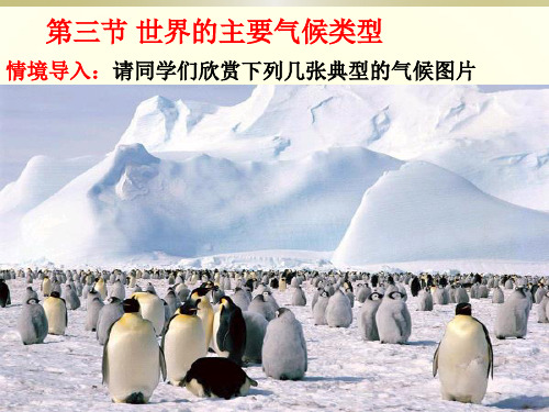 粤人版七年级上册地理课件:4.3世界的主要气候类型 (共19张PPT)