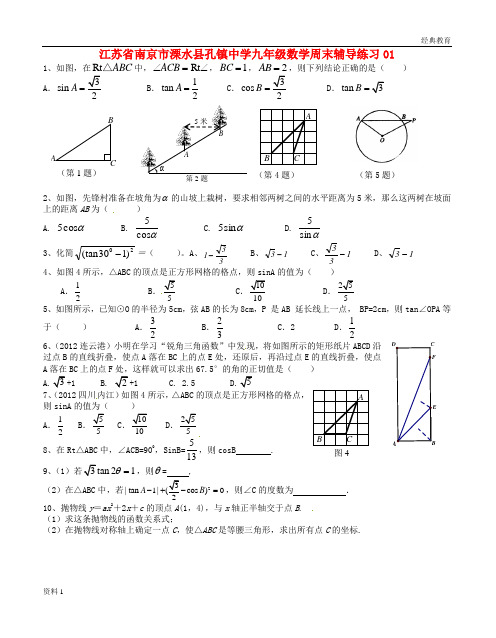 江苏省南京市溧水县孔镇中学九年级数学周末辅导练习01(无答案)