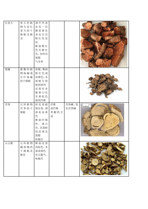 中药鉴定学1