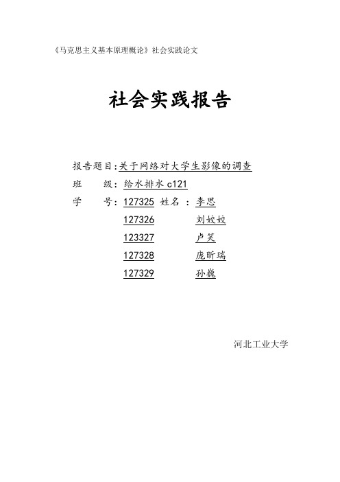 网络对大学生的影响社会实践论文