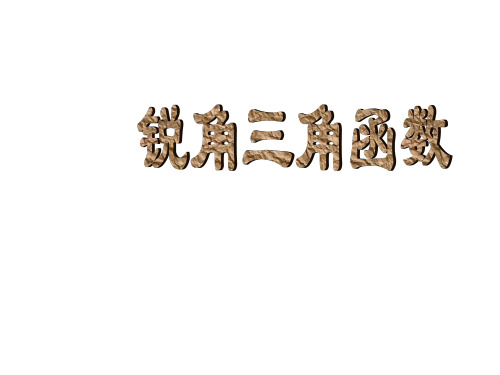 人教版初一数学锐角三角形(教学课件201911)