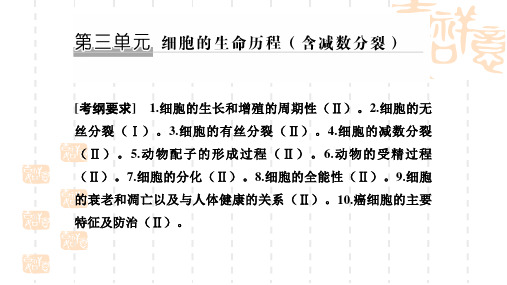 高考二轮生物课件：第3单元-细胞的生命历程(含减数分裂)ppt课件(含答案)