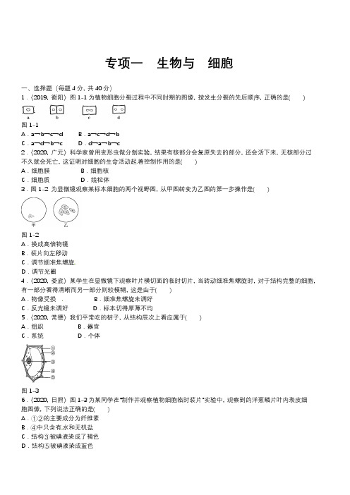 (人教版)中考生物专项一 生物与 细胞含答案