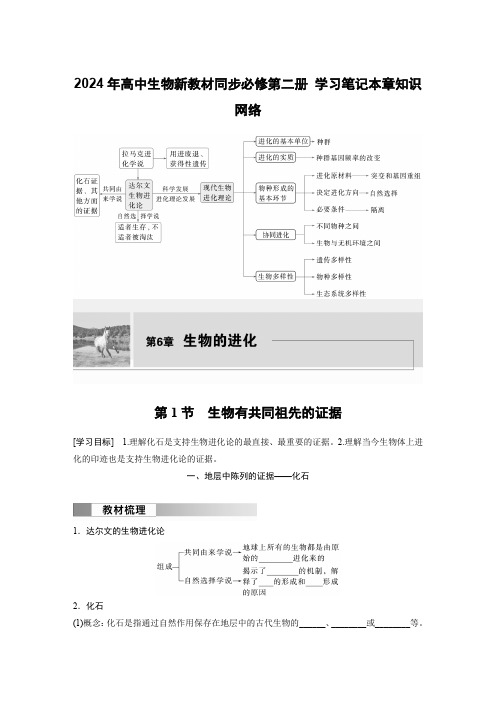 2024年高中生物新教材同步必修第二册 学习笔记第6章 本章知识网络