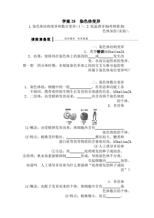 2014年高考生物大一轮复习教案+作业第七单元教案28染色体变异