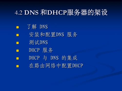 4.2 DNS 和DHCP服务器的架设