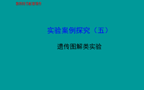 实验案例探究(五)遗传图解类实验(共张PPT)选读