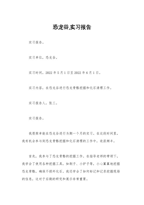 恐龙谷,实习报告