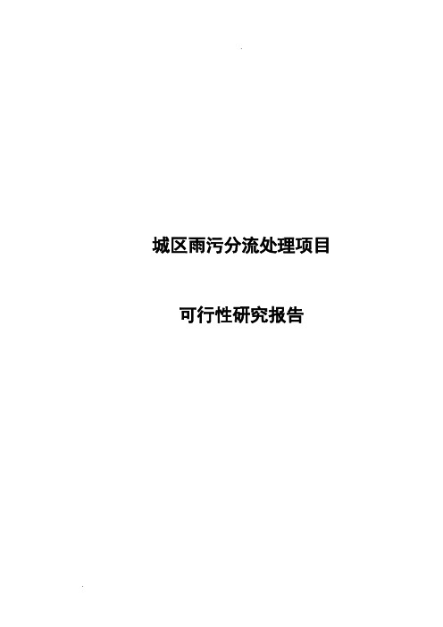 城区雨污分流处理项目可行性研究报告