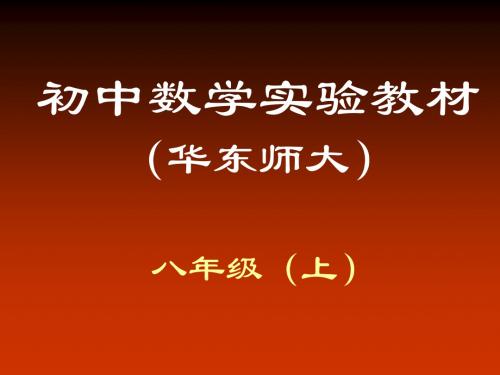 初中数学实验教材 (华东师大).