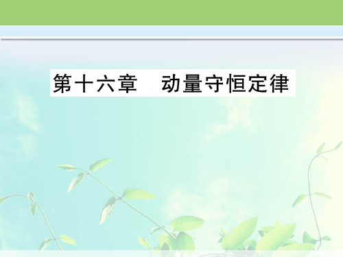 高中物理-动量和动量定理