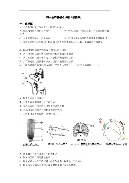 初中生物易错点试题(附答案)