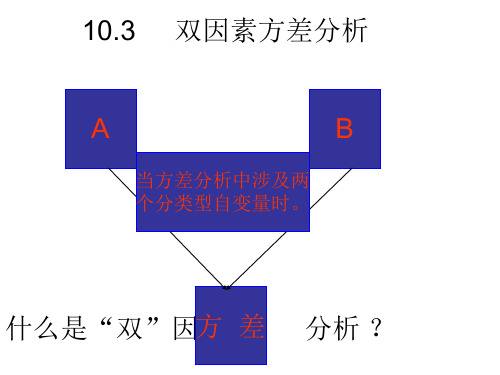 统计学-双因素