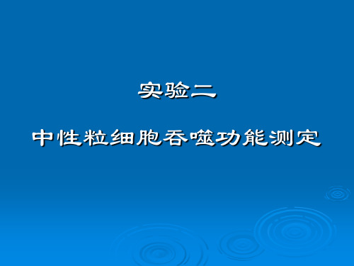 实验四  中性粒细胞吞噬试验