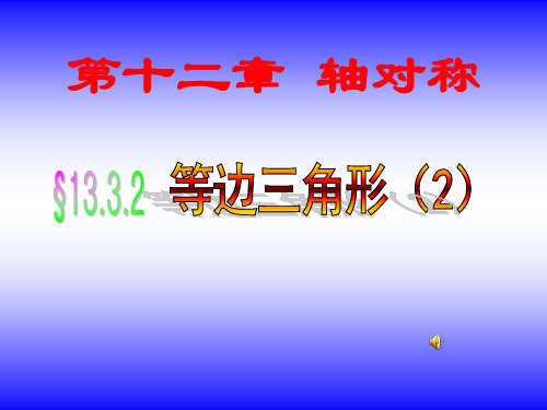 等边三角形(2)含有30度角的直角三角形