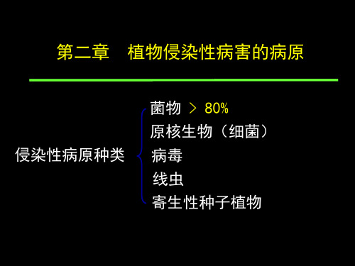 第二章 第一节 植物病原菌概述