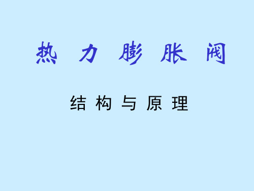 热力膨胀阀结构与原理PPT课件