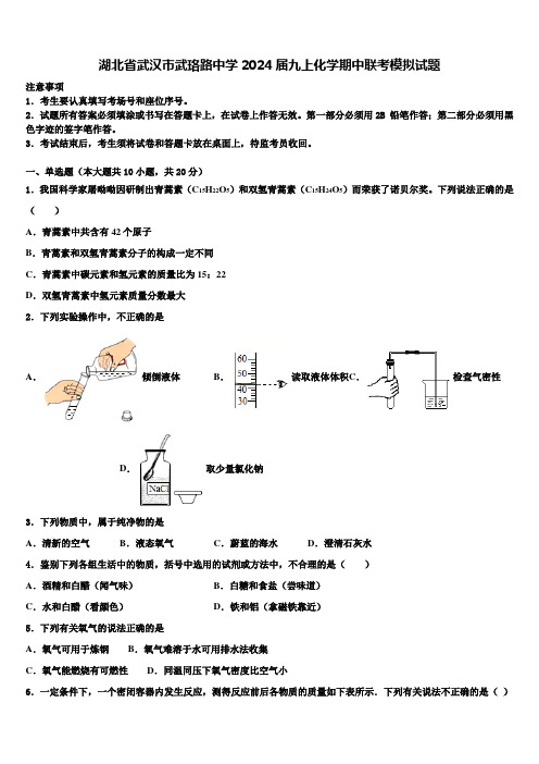 湖北省武汉市武珞路中学2024届九上化学期中联考模拟试题含解析