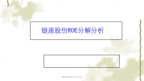 银座股份有限公司ROE分析课件