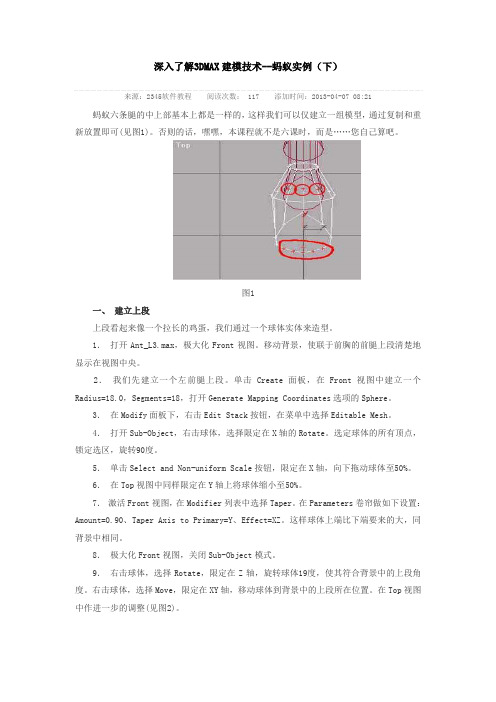 深入了解3DMAX建模技术--蚂蚁实例(下)