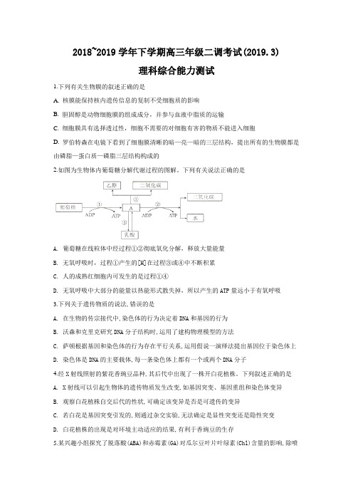 精品解析：【全国百强校】河北省衡水中学2019届高三下学期二调考试生物二模试题(原卷版+解析版)