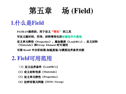 patran场-(Field)定义