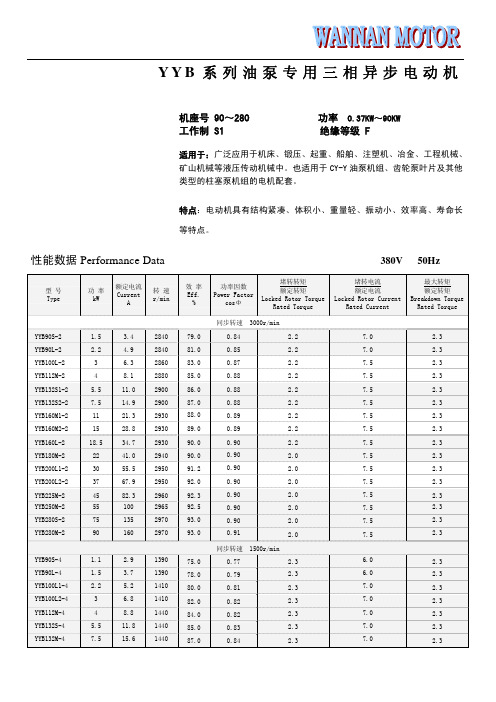 皖南电机 YYB系列油泵(1)