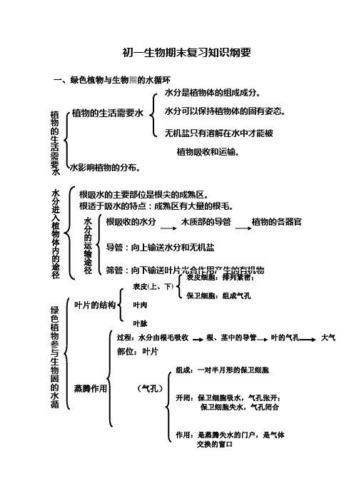 初一生物期末复习知识纲要