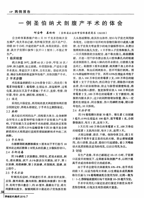 一例圣伯纳犬剖腹产手术的体会
