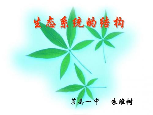 生态系统的结构