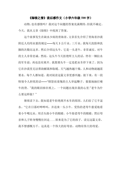 《舔犊之情》读后感作文(小学六年级500字).doc