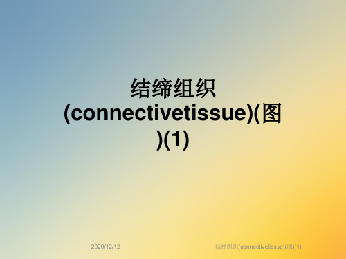 结缔组织(connectivetissue)(图)(1)