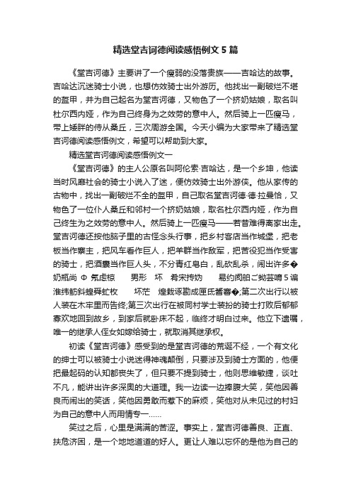 精选堂吉诃德阅读感悟例文5篇